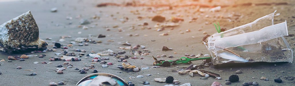 beach cleaning beach cleaning